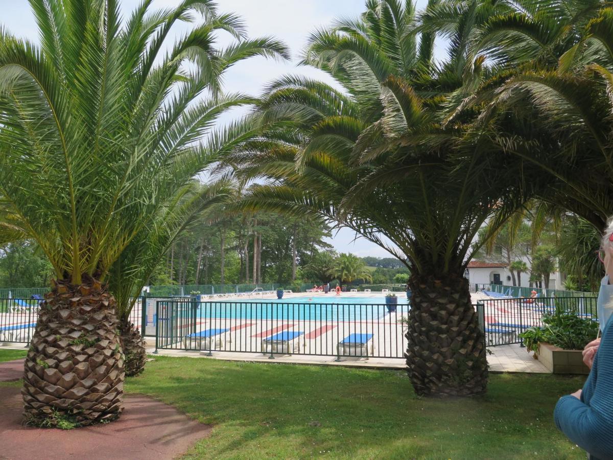 Hasparren-121 T2 Terrasse Et Piscine Urrugne Dış mekan fotoğraf